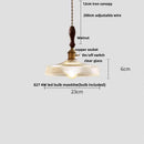GobekUsa Glass LED Pendant Light Chandelier for Modern Home Decor