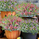 GobekUsa Babysbreath Lover Fruit Artificial Plant Bonsai for Home Garden and Events