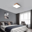 GobekUsa LED Ceiling Light for Modern Indoor Lighting Decor