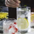 GobekUsa 4-Piece Thin Highball Glasses Set - Clear Tall Glass Cups for Various Beverages