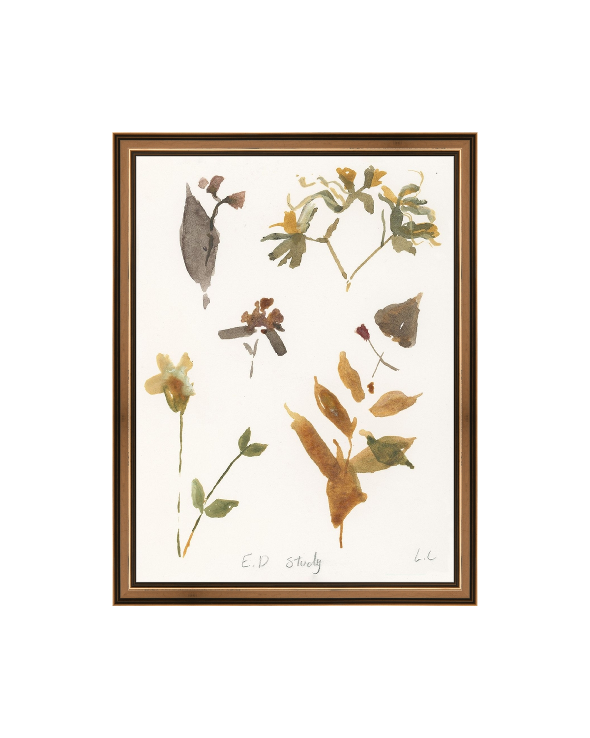 E.D Botanical Study, photo 26 of 34