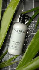Aloe Vera Shampoo | Viridian Grove by Rustic Strength