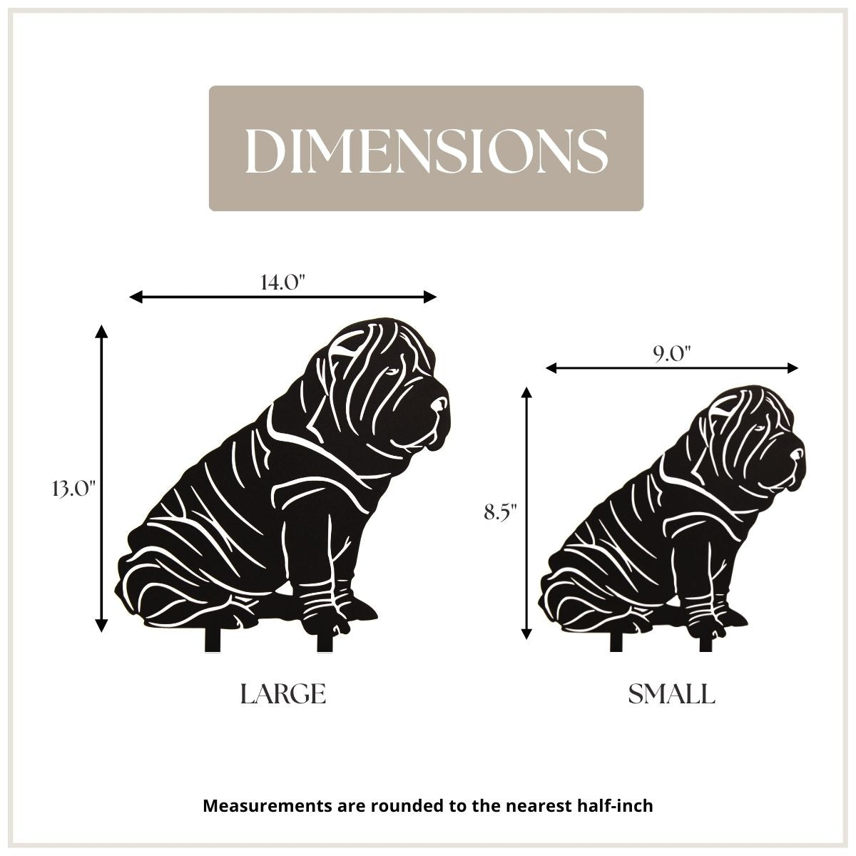 Shar Pei, photo 4 of 13
