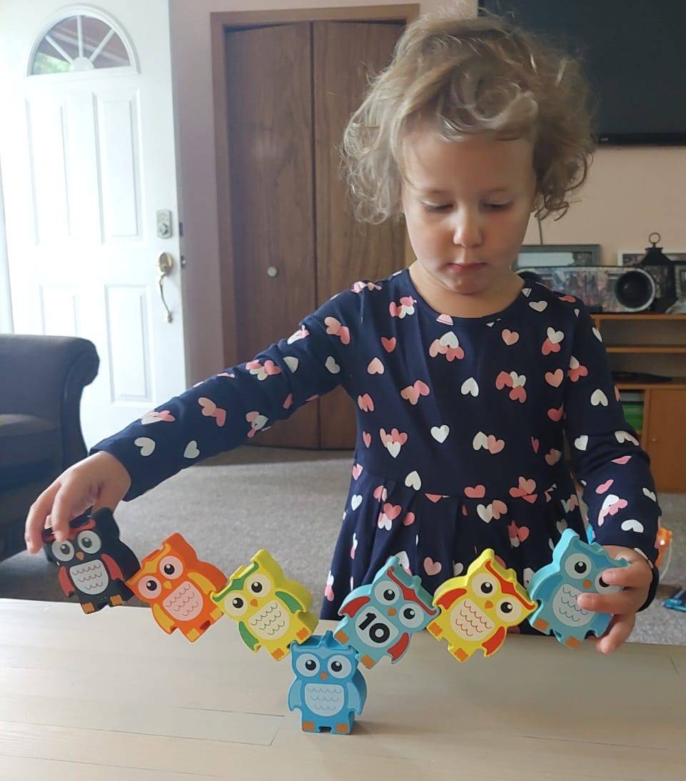 STACKING OWLS Wood Balance Challenge, photo 17 of 17