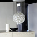 Shell Chandelier