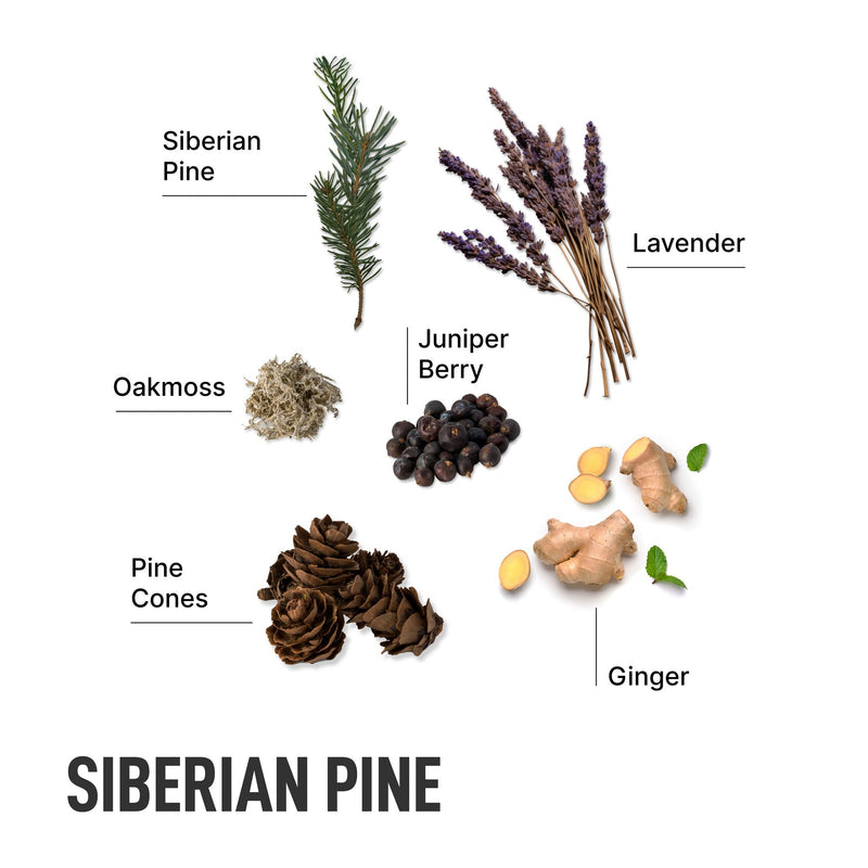 Advanced In-Wash Scent Booster