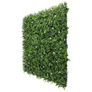 Sample Panel – White Flowering Boxwood Green Wall (Small Sample) by Designer Plants USA