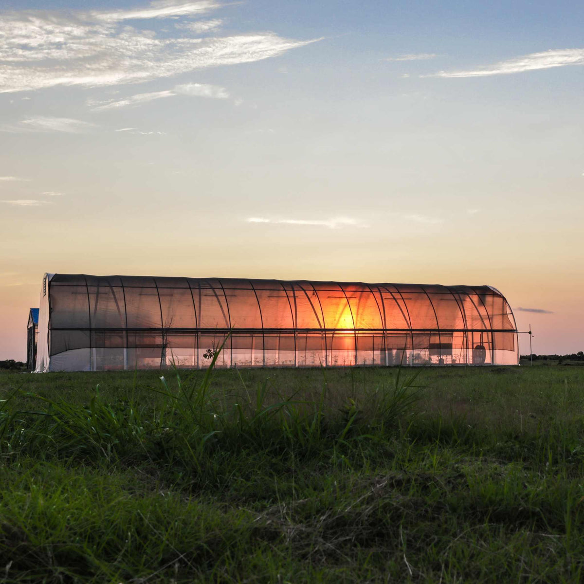 Bootstrap Farmer All-Metal Round Hoop House Kit, photo 3 of 10
