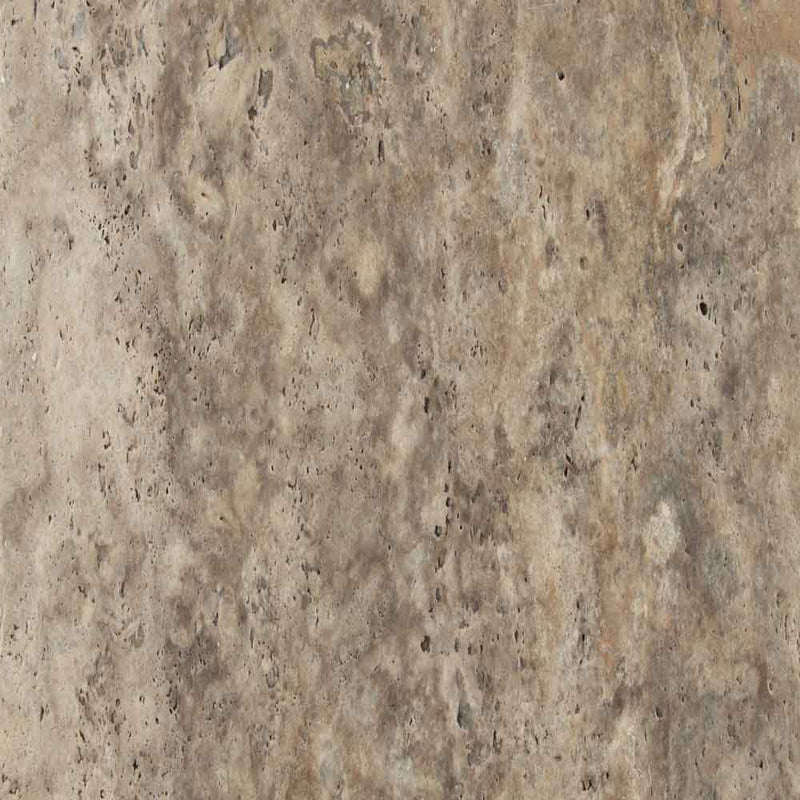 MSI Silver Travertine Wall and Floor Tile