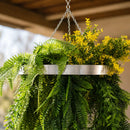 Artificial Hanging Plant Chandelier – Bright Tropical Foliage Circular Ring (15.75in) Silver Frame – UV Resistant by Designer Plants USA