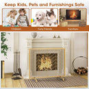 38 x 31 Inch Single Panel Fireplace Screen by LJGDeals