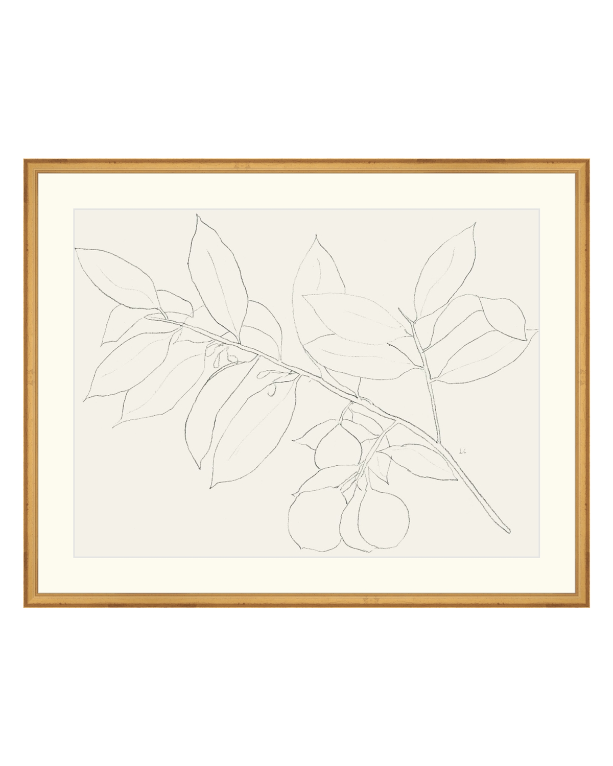 Lemon Branch Drawing, photo 4 of 42