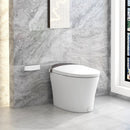 One-Piece Smart 1.16 GPF Elongated Bidet Toilet Seat with Night Light-White by LJGDeals