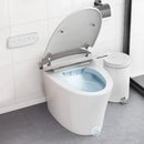 One-Piece Smart 1.16 GPF Elongated Bidet Toilet Seat with Night Light-White by LJGDeals