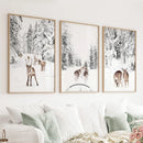 Winter Woodland Photo Set of 3. Fawn, Dog Sledding by Wall Art Set