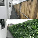 Sample Panel – Snowy White Vertical Garden (Small Sample) by Designer Plants USA