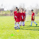 8' x 6' Soccer Goal with Ground Stakes and Soccer Cones by LJGDeals
