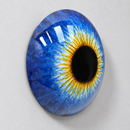 Solar Iris