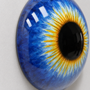 Solar Iris