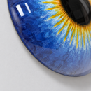 Solar Iris