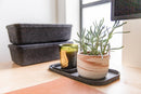 The Sculpted Bin - Long with Lid | Set of 3 by SortJoy