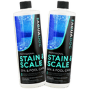 Pool Stain and Scale Control