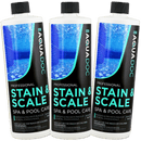 Pool Stain and Scale Control