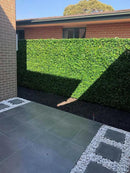Sample Panel – Spring Sensation Green Wall (Small Sample) by Designer Plants USA