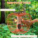 Squirrel-Proof Pumpkin Bird Feeder with Cage and 4 Metal Ports by LJGDeals