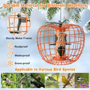 Squirrel-Proof Pumpkin Bird Feeder with Cage and 4 Metal Ports by LJGDeals