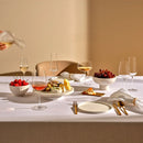 Stem Zero Volcano Champagne Glass by NUDE USA