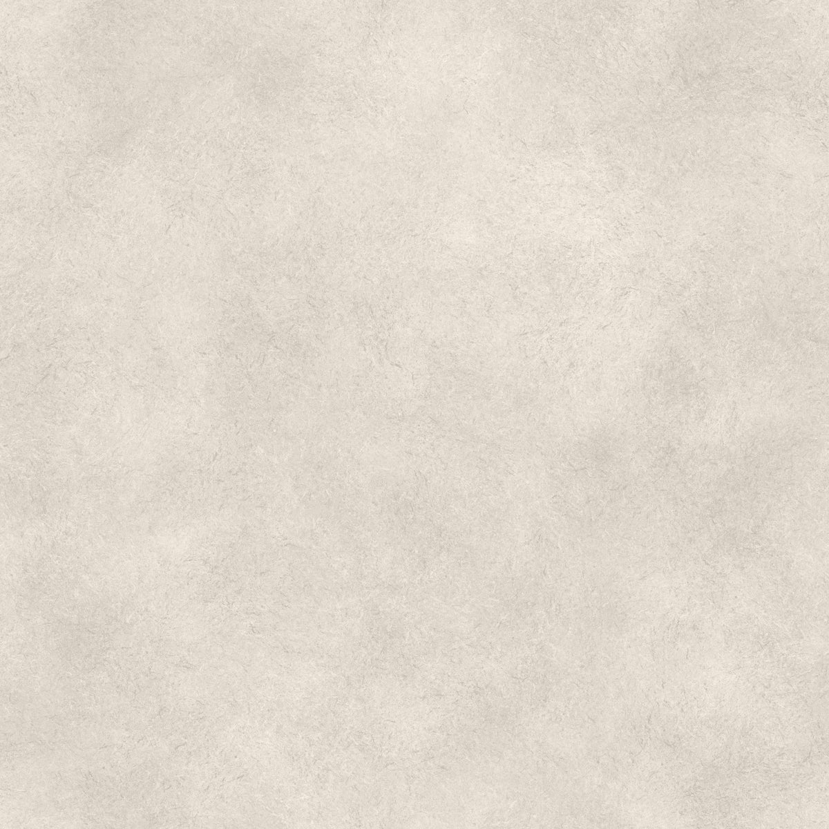 Limewash Wallpaper, photo 12 of 12