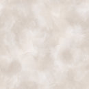 Subtle Stone Texture Wallpaper | Neutral Watercolor Wall Mural