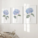 Light Blue Hydrangea Flower Wall Art Poster Set by Wall Art Set