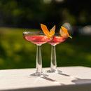 Big Top Set of 2 Coupe Glasses by NUDE USA