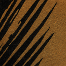 Summertime Palm Leaf Coir Doormat