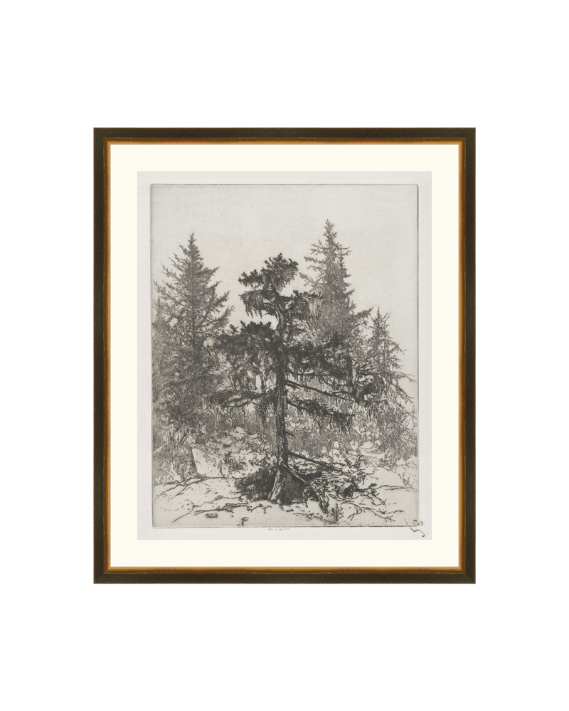 Pine Etching