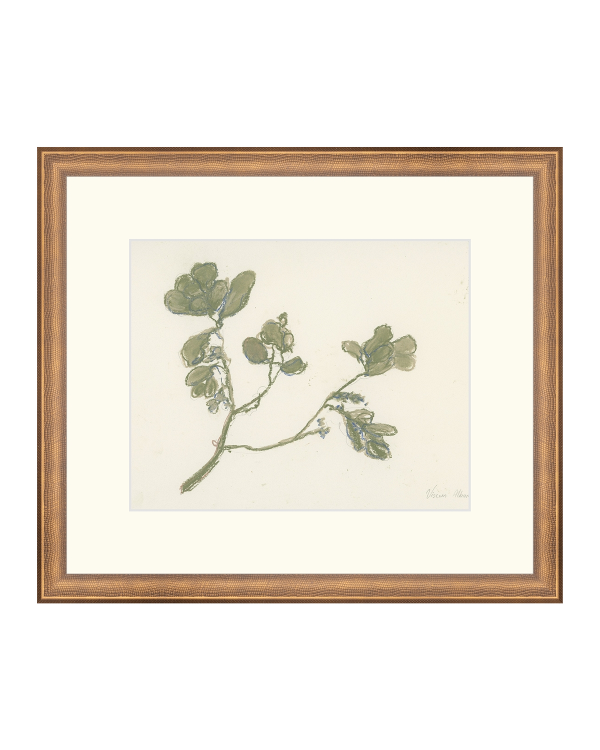 Pastel Mistletoe, photo 10 of 28