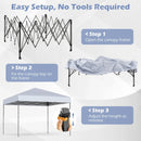 10 X 10 Feet Pop up Canopy Tent with Portable Carrying Bag and 8 Stakes by LJGDeals