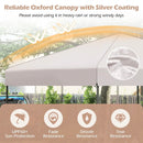 10 X 10 Feet Pop up Canopy Tent with Portable Carrying Bag and 8 Stakes by LJGDeals