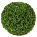 11" Medium Cypress Topiary Ball