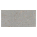 Warm Gray with Gold Flecks 24x48 Matte Square Porcelain Large Format Tile (2 pack, 15.49 sq ft/case) - Sample