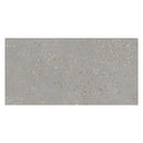 Warm Gray with Gold Flecks 24x48 Polished Square Porcelain Large Format Tile (2 pack, 15.49 sq ft/case) - Sample