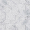 Carrara T Honed Marble Tile