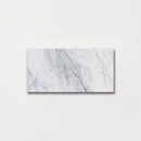 Carrara T Honed Marble Tile