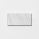 Calacatta T Polished Marble Tile