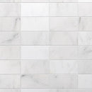 Calacatta T Honed Marble Tile