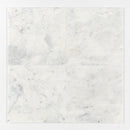 Carrara T Honed Marble Tile