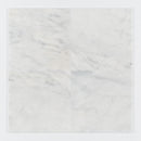 Calacatta T Polished Marble Tile