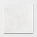 Calacatta T Honed Marble Tile